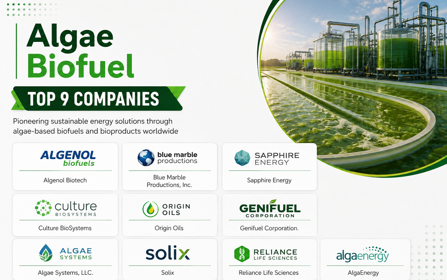  Global Algae Biofuel Market