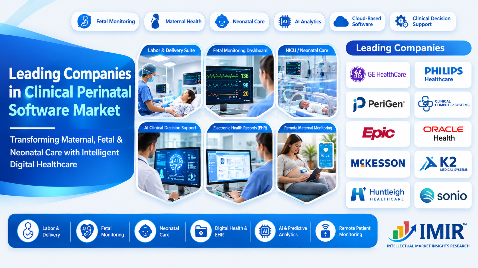 Leading Companies in the Global Clinical Perinatal Software Market