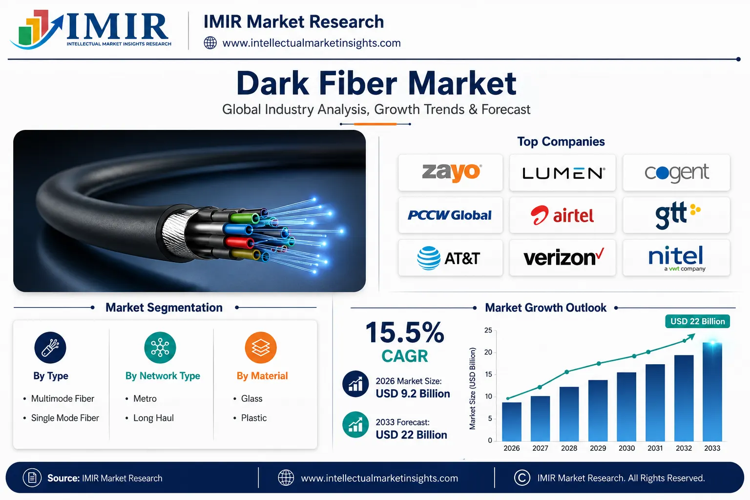 top-leading-players-in-the-global-dark-fiber-market-2025