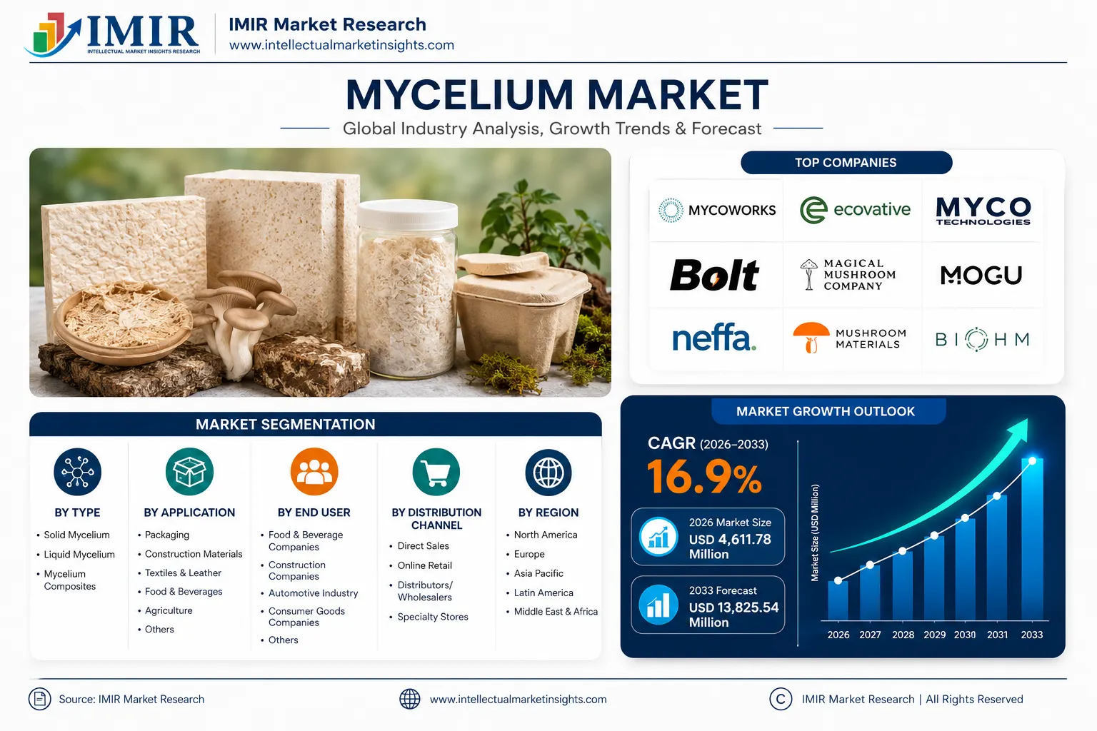 top-mycelium-companies