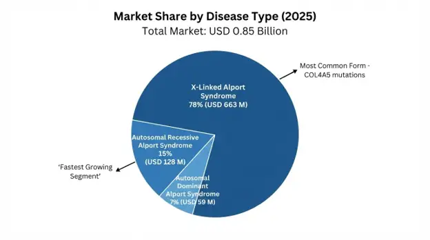 Alport Syndrome Market
